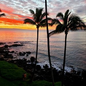 Meet your Posher, Izzy